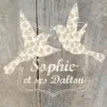 Sophie-et-sesDalton-pochette-les-oiseaux-front